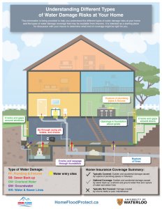 Flood Risk Infographic