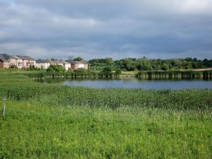 Natural Infrastructure of Wetlands near Homes