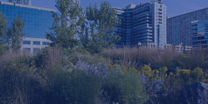 Natural Infrastructure in front of urban area