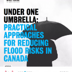 Under One Umbrella Report Cover EN