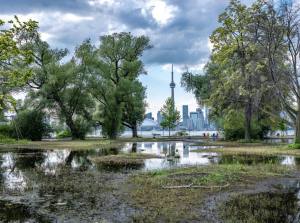 Toronto Flooded