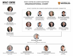 Intact Centre Organization Chart