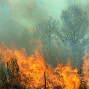 wildfire near trans-canada highway