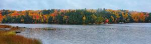 Fall