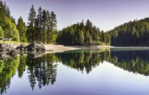 Environment