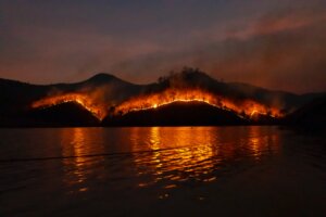 Wildfire on hills