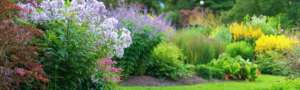 Photo of garden