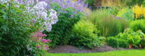 Photo of a garden